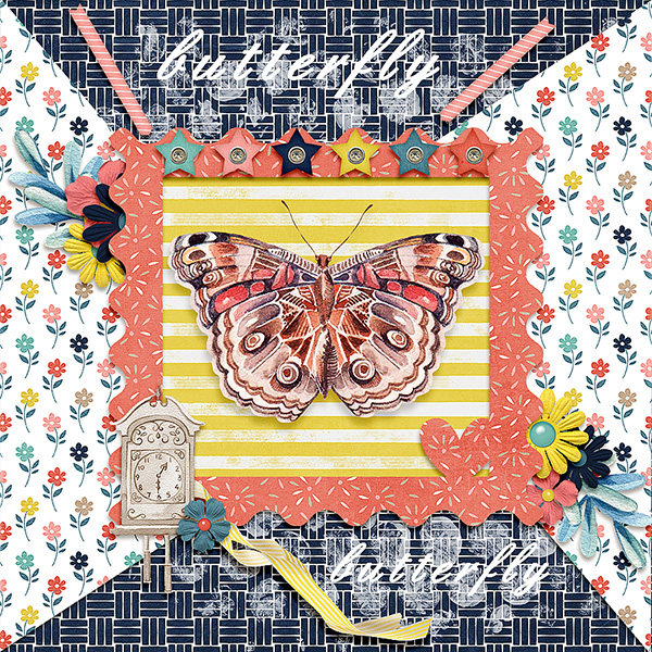 Butterfly