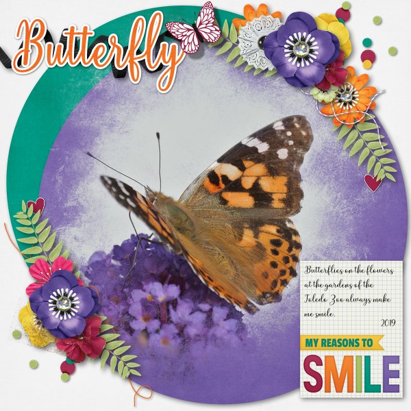 Butterfly