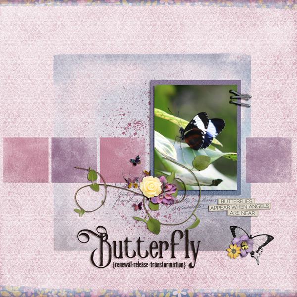 Butterfly