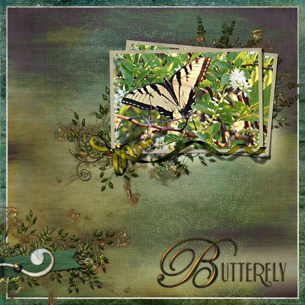 Butterfly