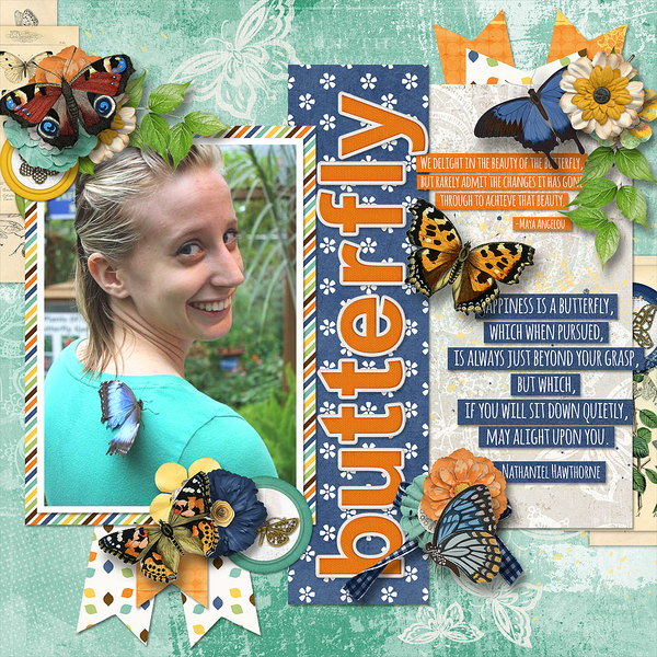 Butterfly