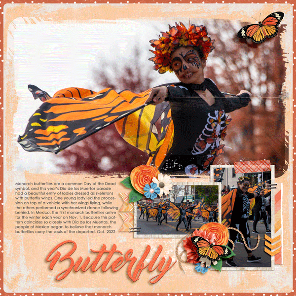 butterfly