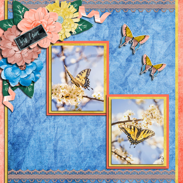 Butterfly