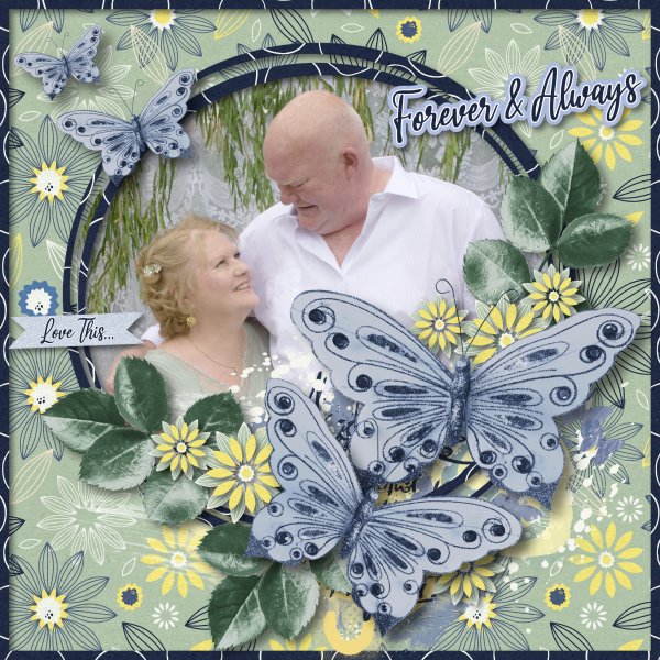 butterfly