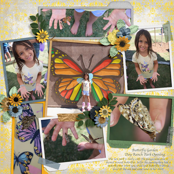 Butterfly