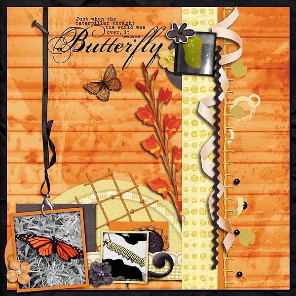Butterfly