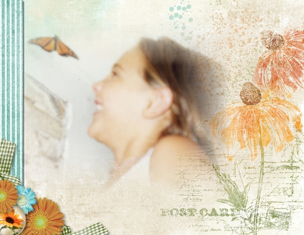 Butterfly