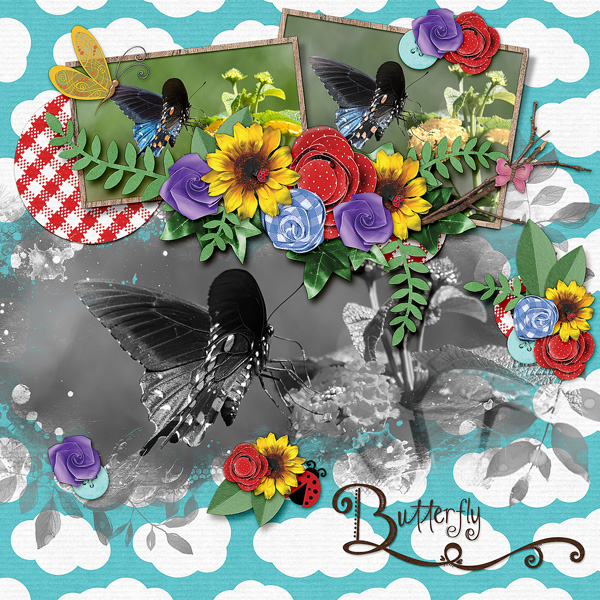 Butterfly