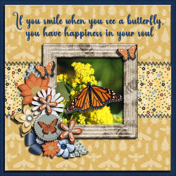 Butterfly