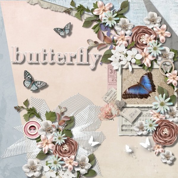 Butterfly
