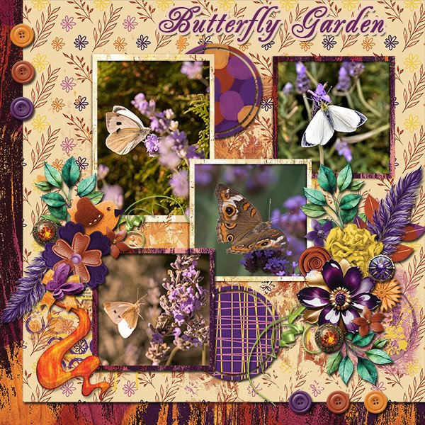ButterflyGarden_ollitko_600.jpg