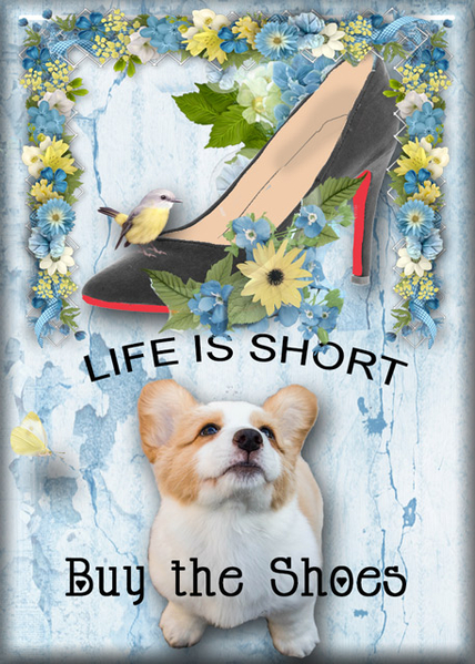 Buy the Shoes