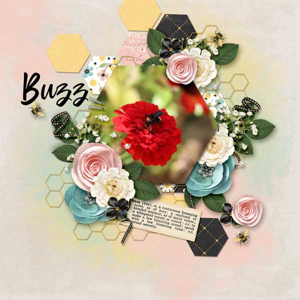 Buzz