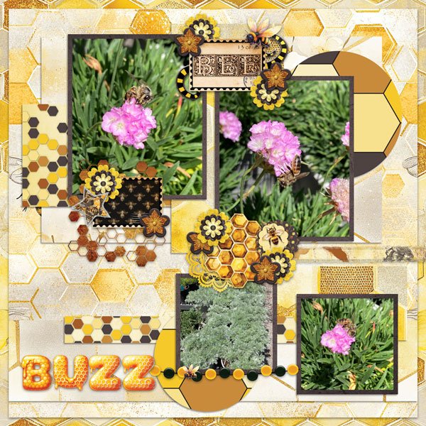 Buzz
