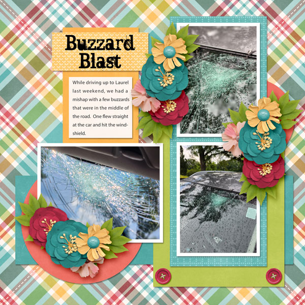 Buzzard Blast