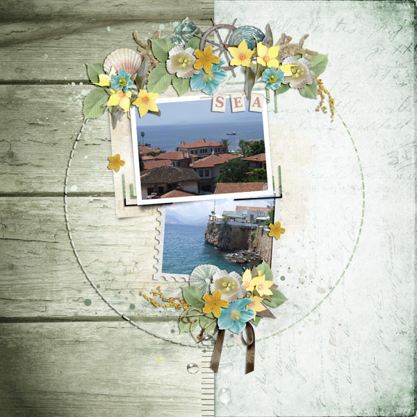 by the sea