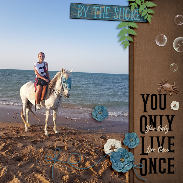 By the Shore