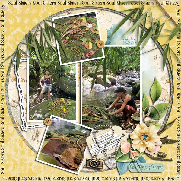 By-the-stream-on-a-rock-webv.jpg