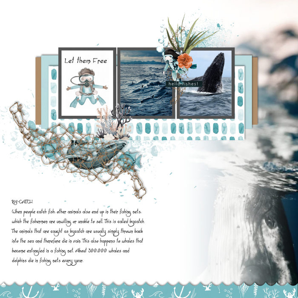 Bycatch
