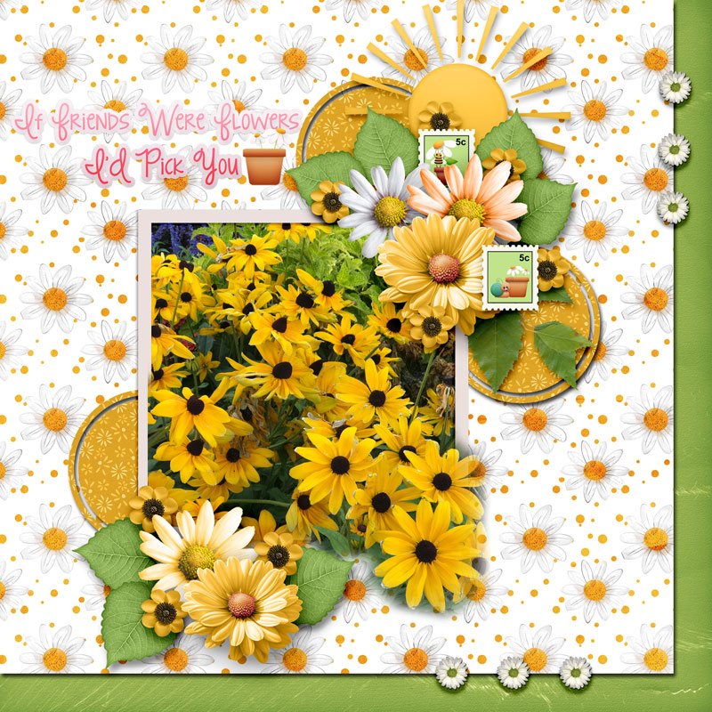 BYU Daisy.jpg