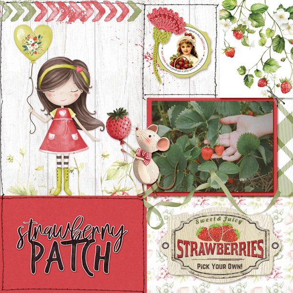 BZ_Sweetlife-sharonStrawberrypatch.jpg