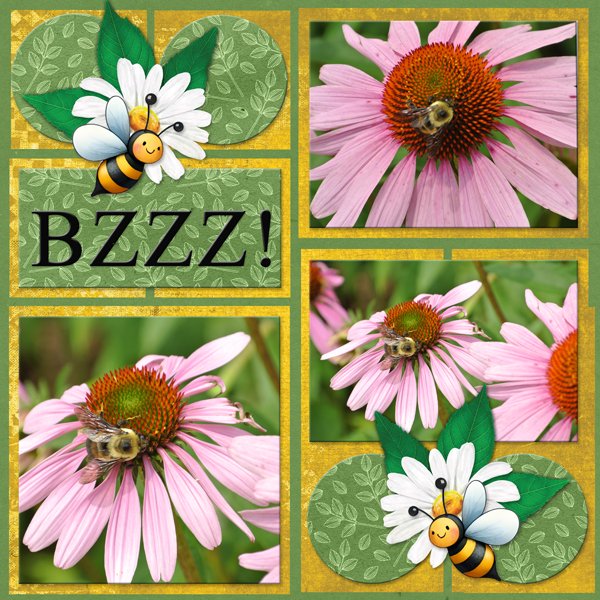 Bzzz