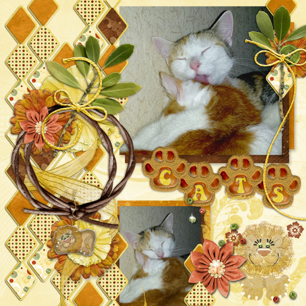 C*A*T*S