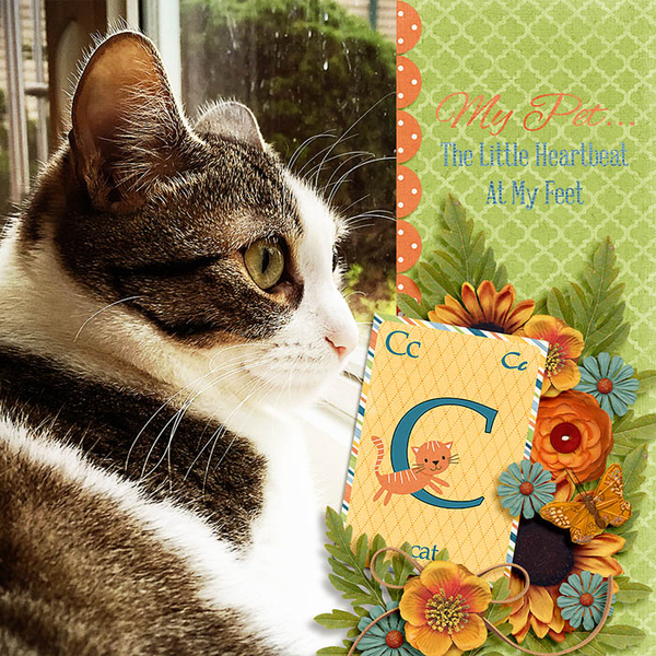C is for cat