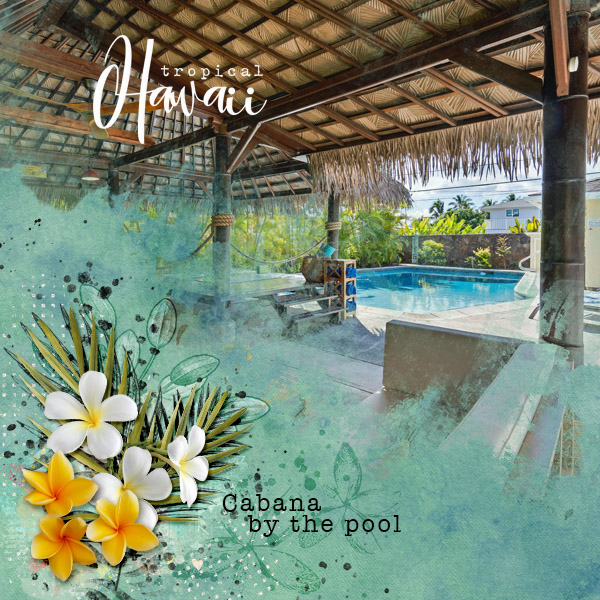 Cabana by the Pool