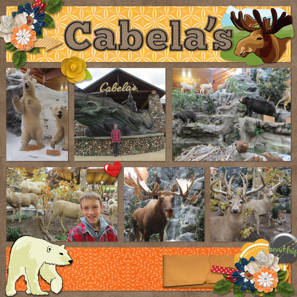 Cabela's