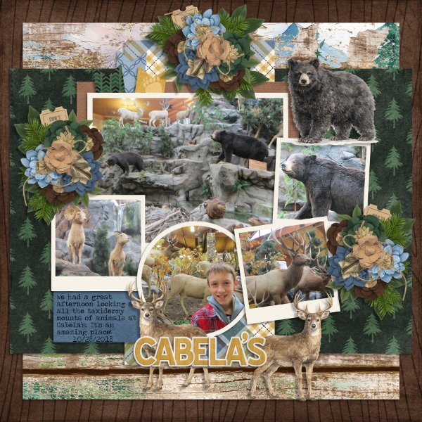 Cabela's