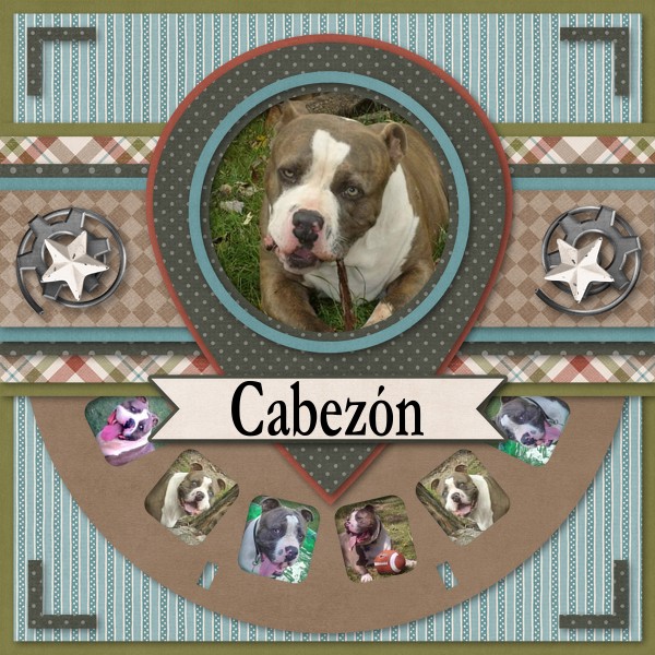 Cabezon