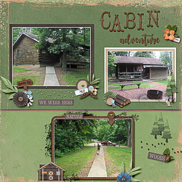 Cabin Adventure