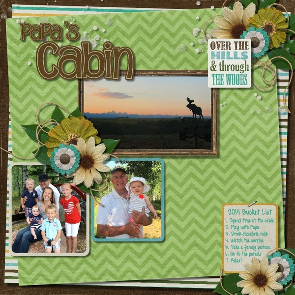 Cabin Bucket List