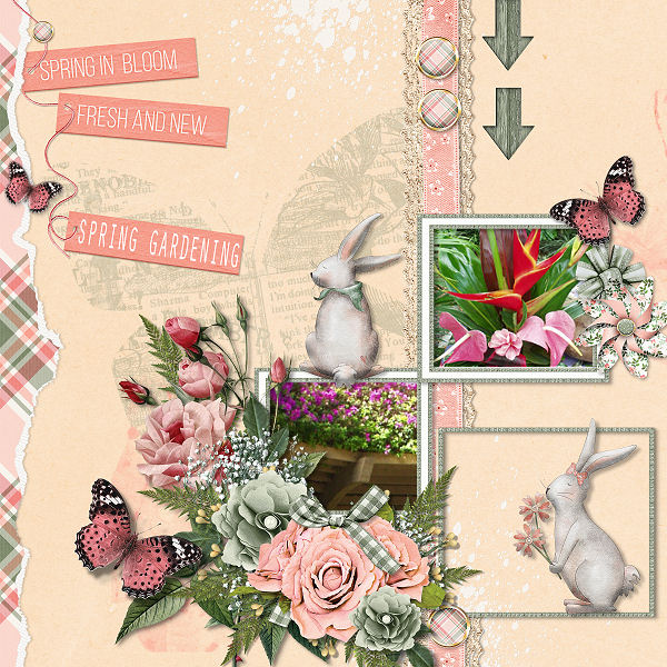 Cabin Challenge Week 4 by Lana