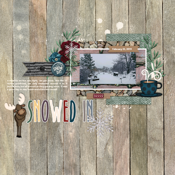 Cabin Fever challenge 1  Snowed In