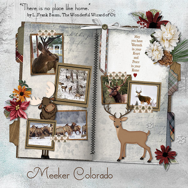 Cabin Fever Challenge Week 3
