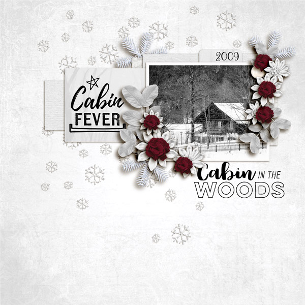 Cabin in the Woods - 2009