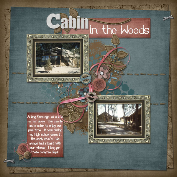 Cabin in the woods