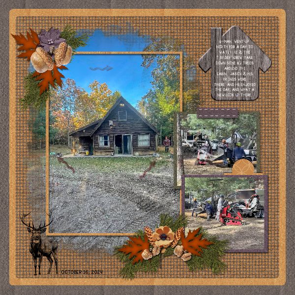 Cabin page 2