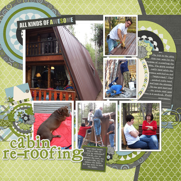 Cabin-Roofing-2WEB