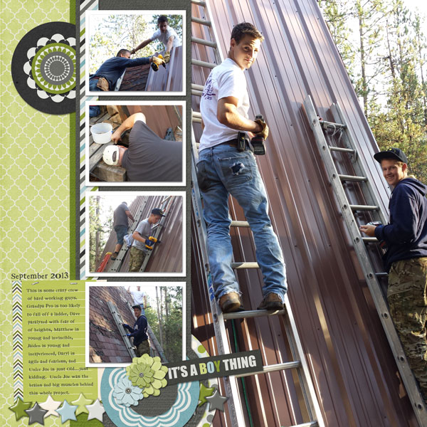 Cabin-roofing1WEB