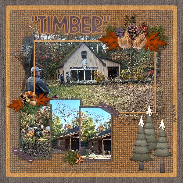 Cabin Tree Removal