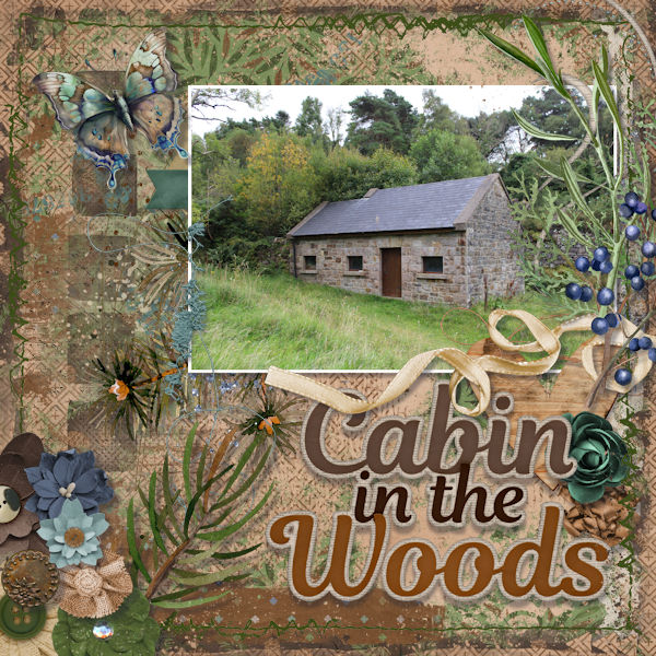 Cabin