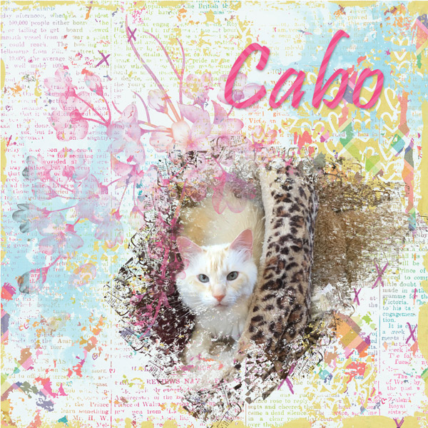 Cabo