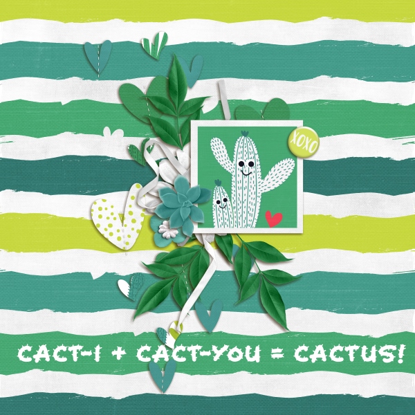 Cact-US