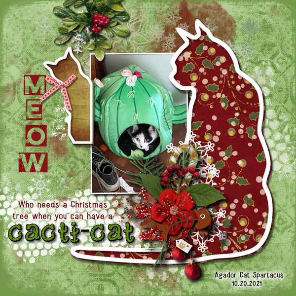 Cacti-Cat