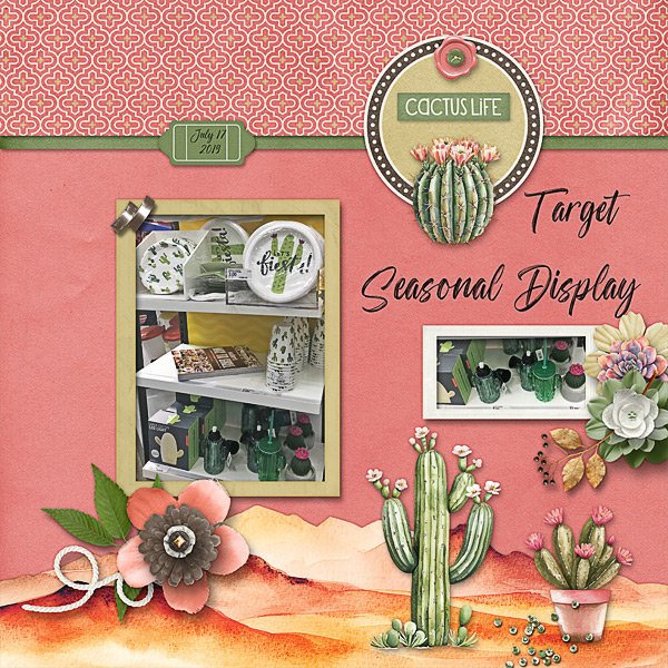 Cacti Seasonal Display