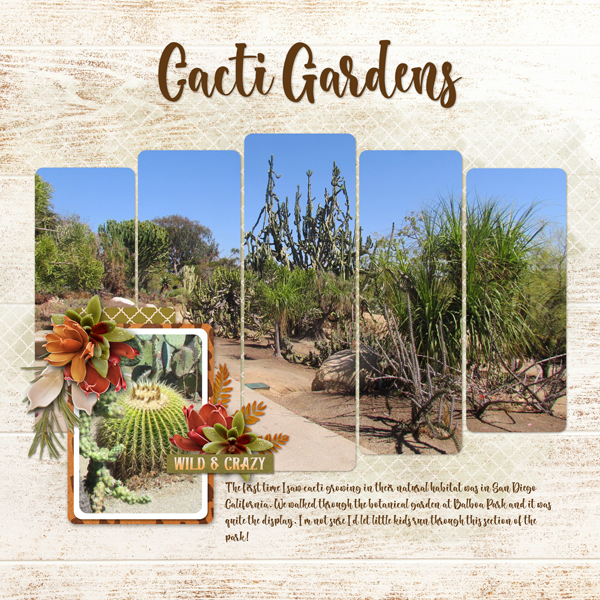 Cacti