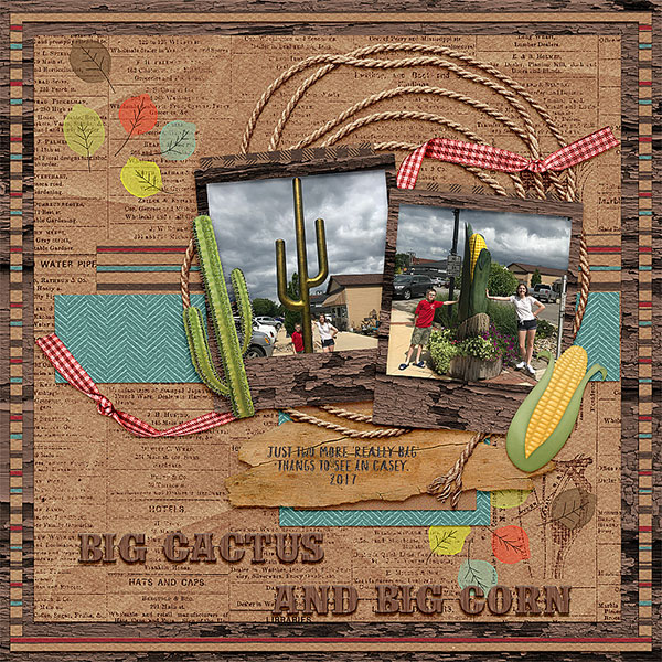 Cactus 2017